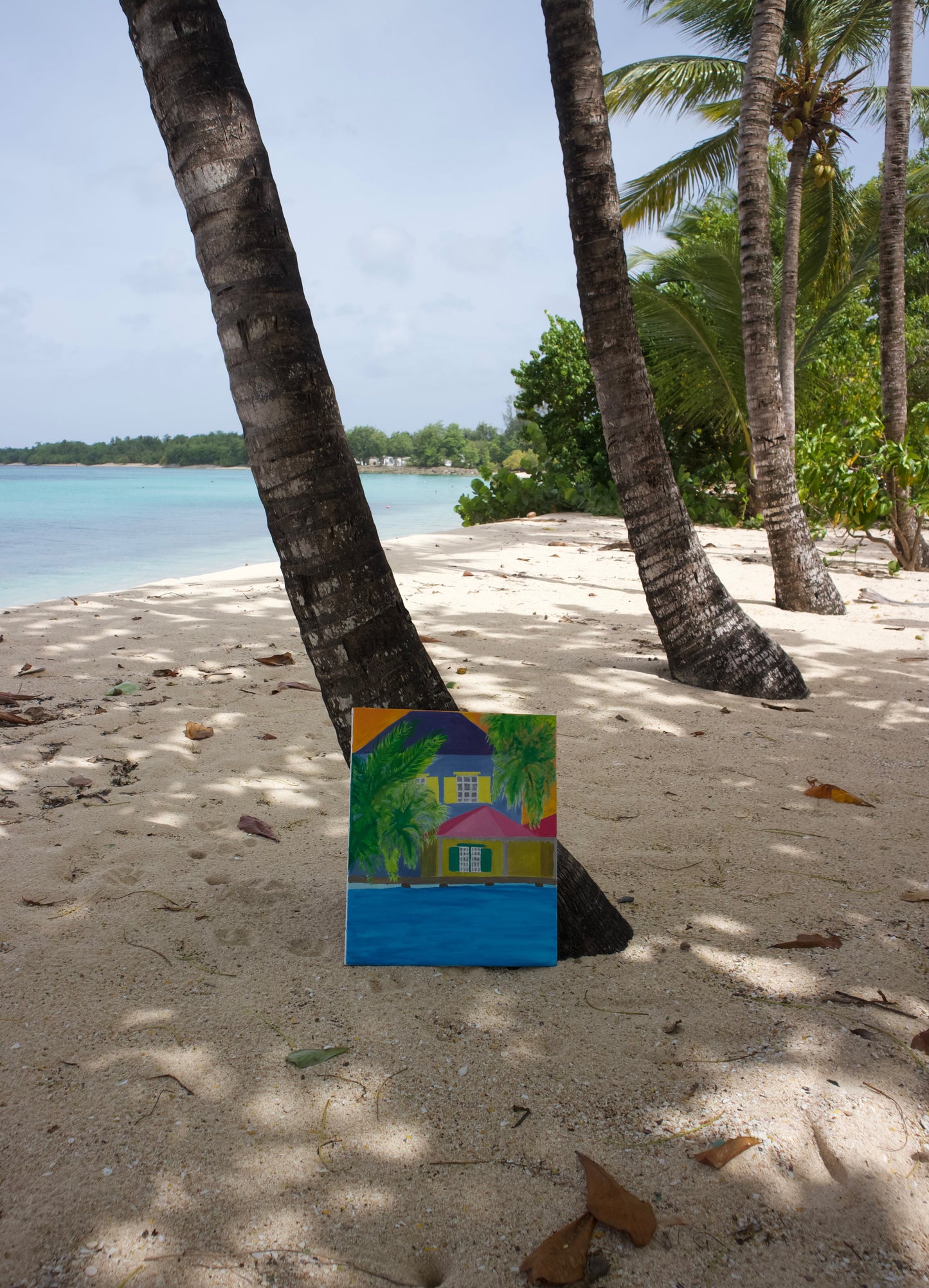 LA MAISON CACHÉE DES CARAIBES